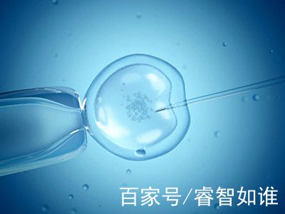 私人高龄借卵联系电话
